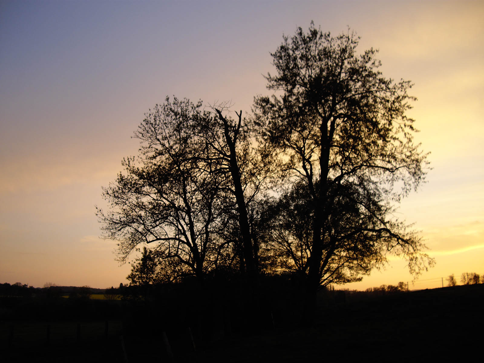 L'ombre s'endort